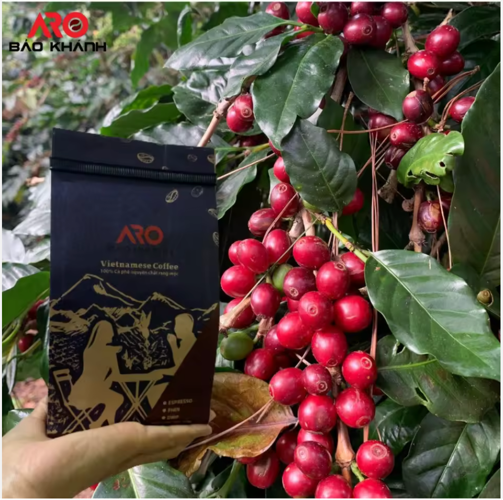Premium Vietnamese Arabica Coffee Beans - Wholesale & Bulk Order