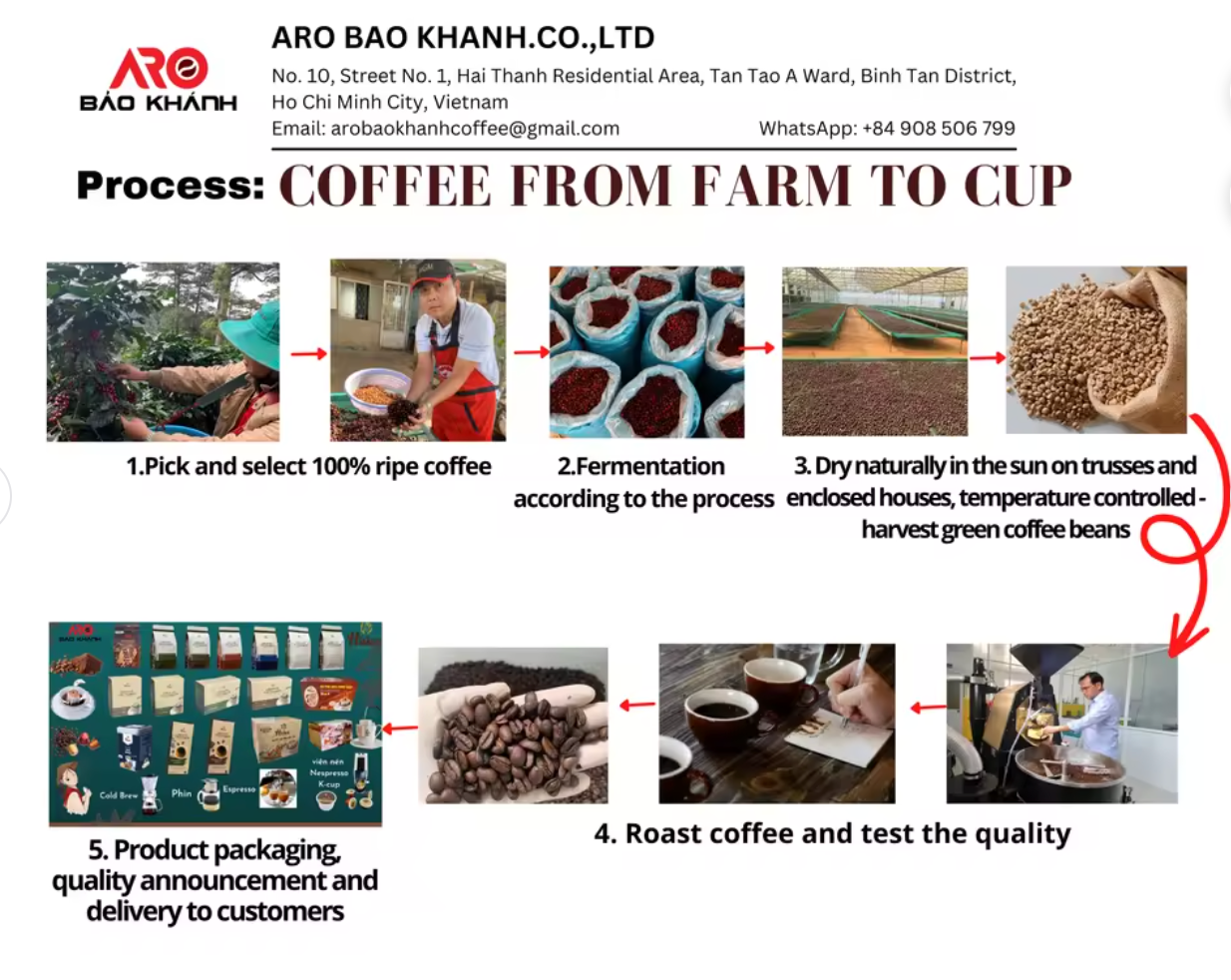 Premium Vietnamese Arabica Coffee Beans - Wholesale & Bulk Order
