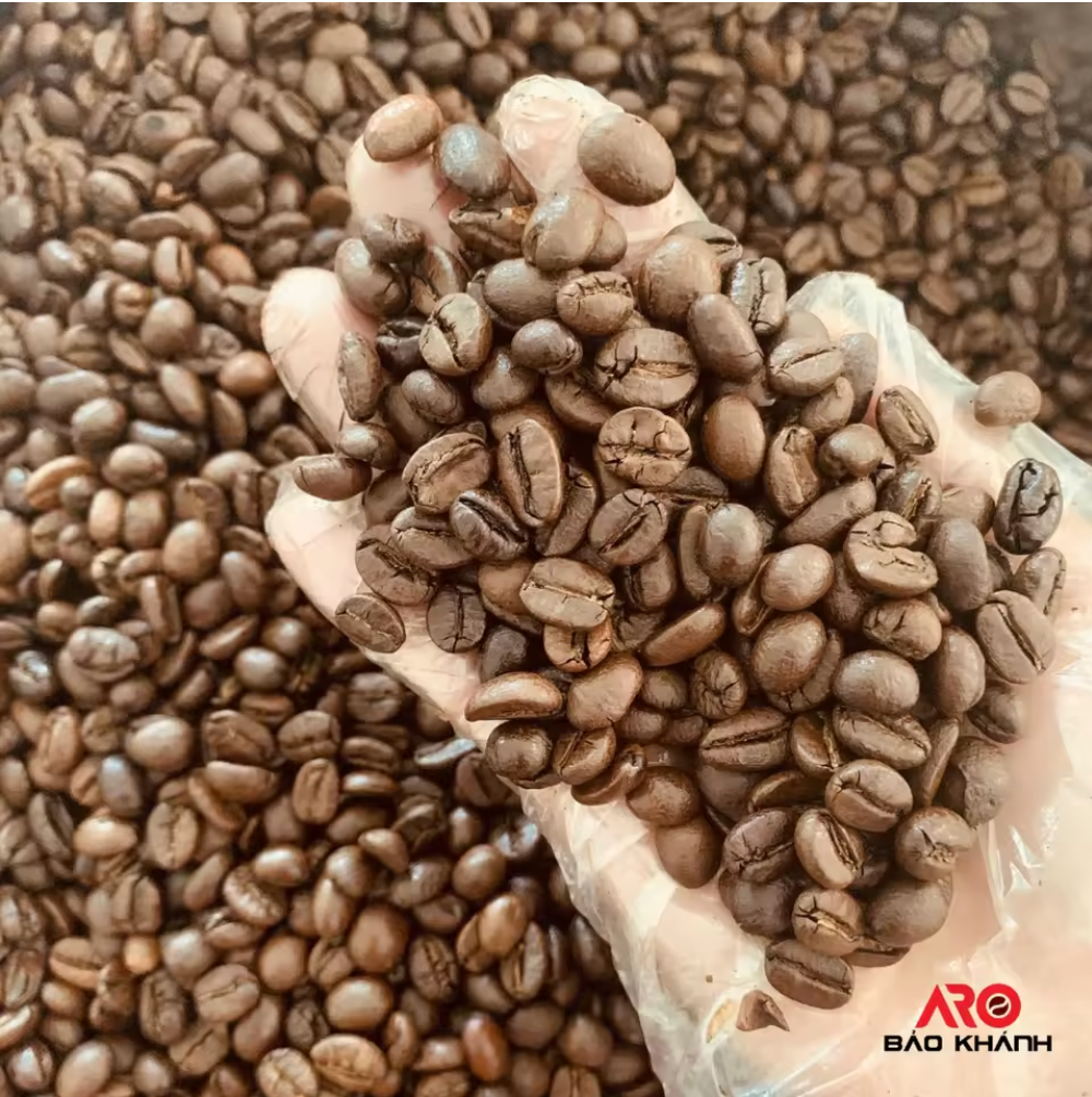 Premium Vietnam Robusta-Arabica Blend Whole Bean Coffee